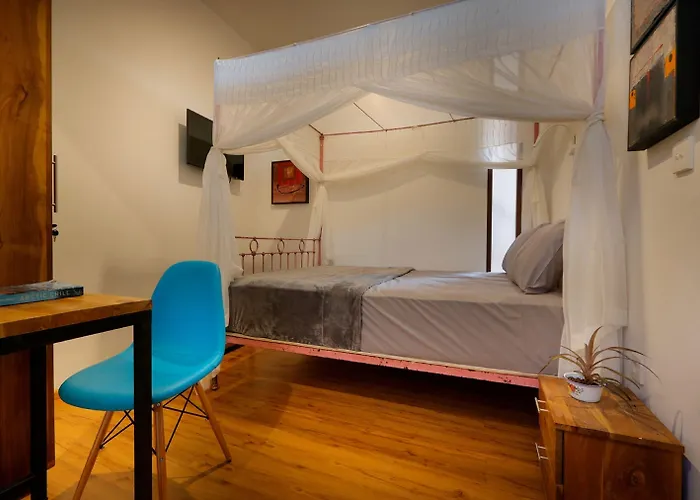 Bali Bee House Guest house